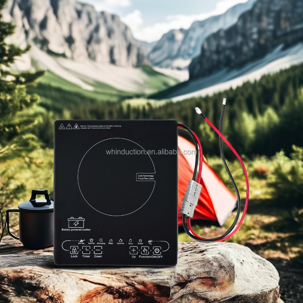 DC 48V Induction Cooker Detail 1