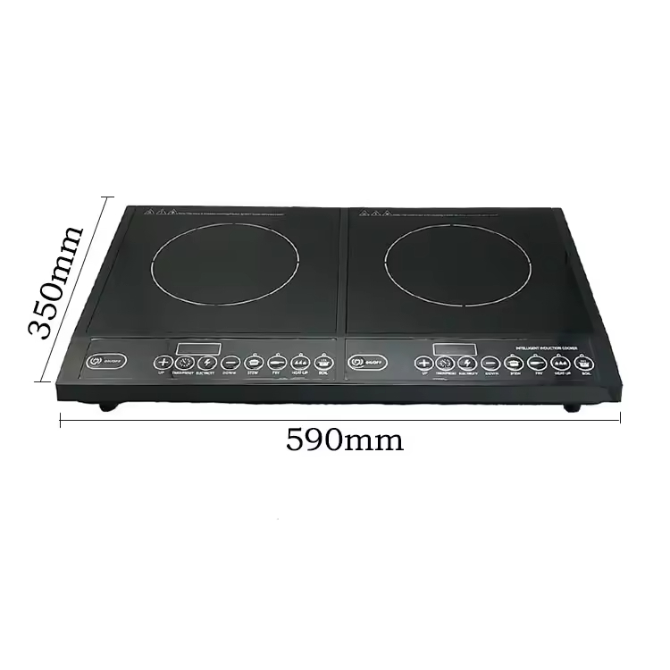 Electric Double-burner Induction Cooker Ceramic Panel High-Power Plastic Housing Waterproof 8-Level Firepower Outdoor Hotel Use