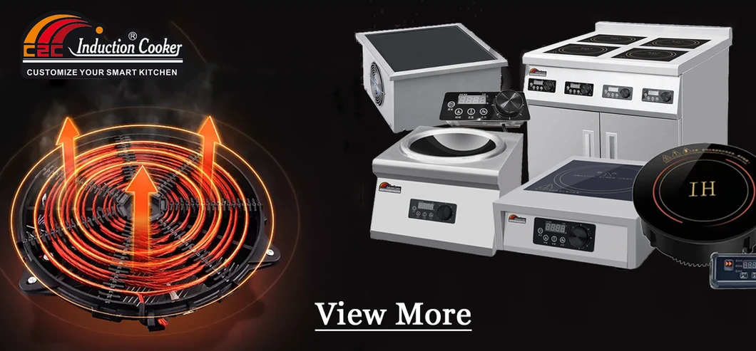 Double Burner Commercial Induction Cooktop 5000W Flat Ceramic Electric Stove for Restaurant & Industrial Kitchen