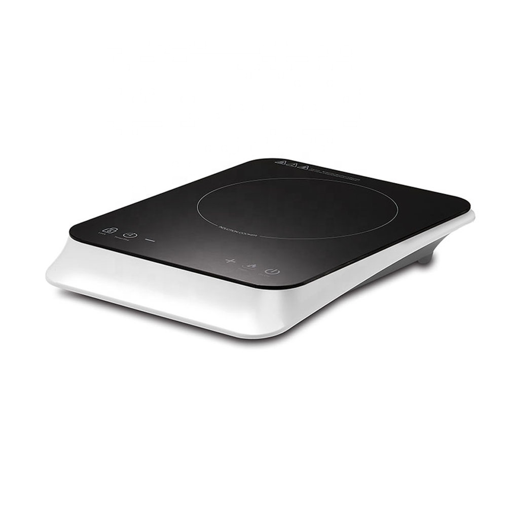 INDUCTION COOKER