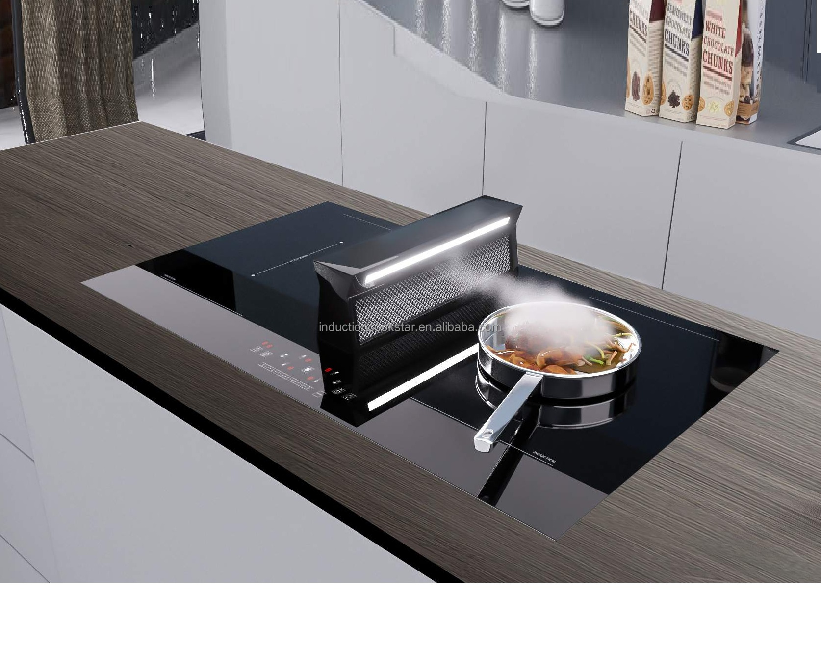 induction cooker model 2
