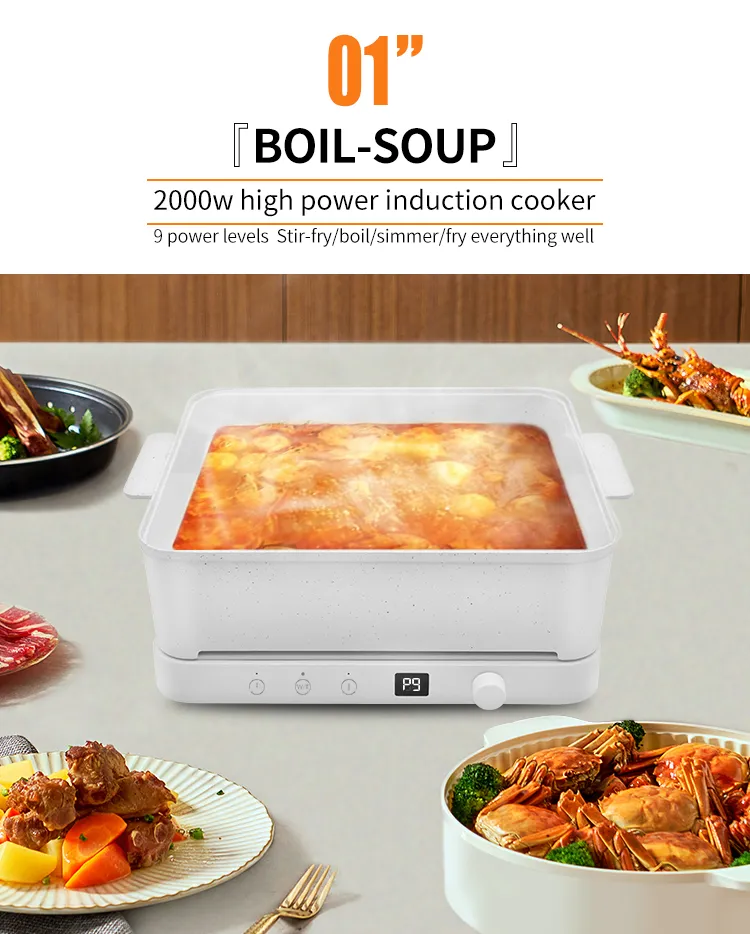 Premium Energy-Efficient Induction Cooker with Custom Temperature Control Smart Induction Cooker