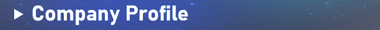 Company Information Title