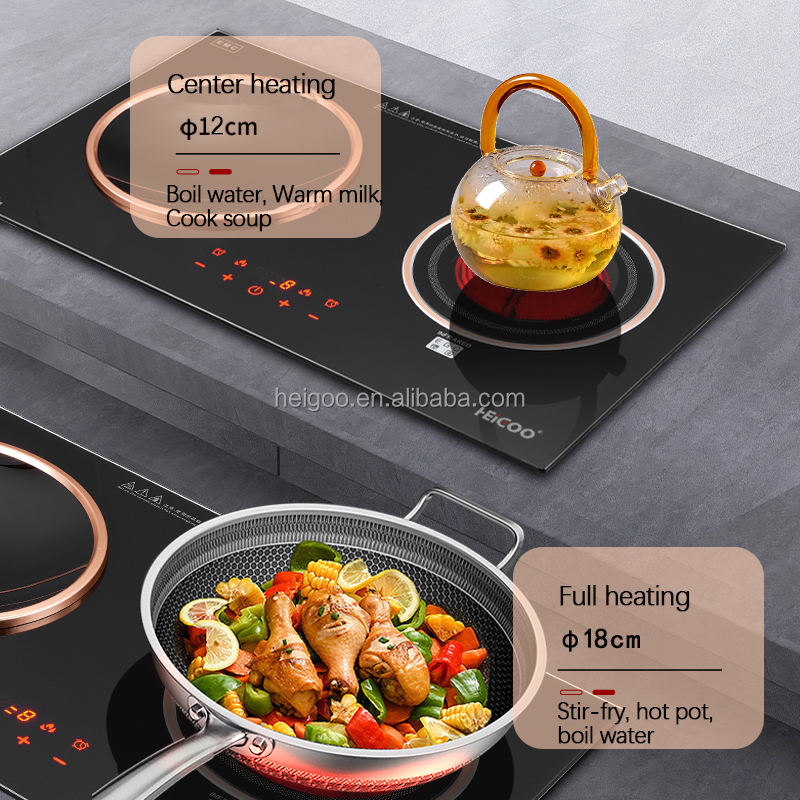 Electric Induction Cooktop with Timer for Multi-Function Cooking