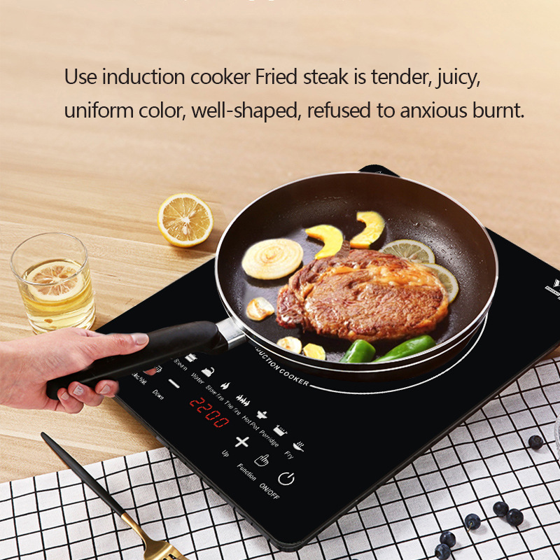 Multifunction induction cooker detail 4