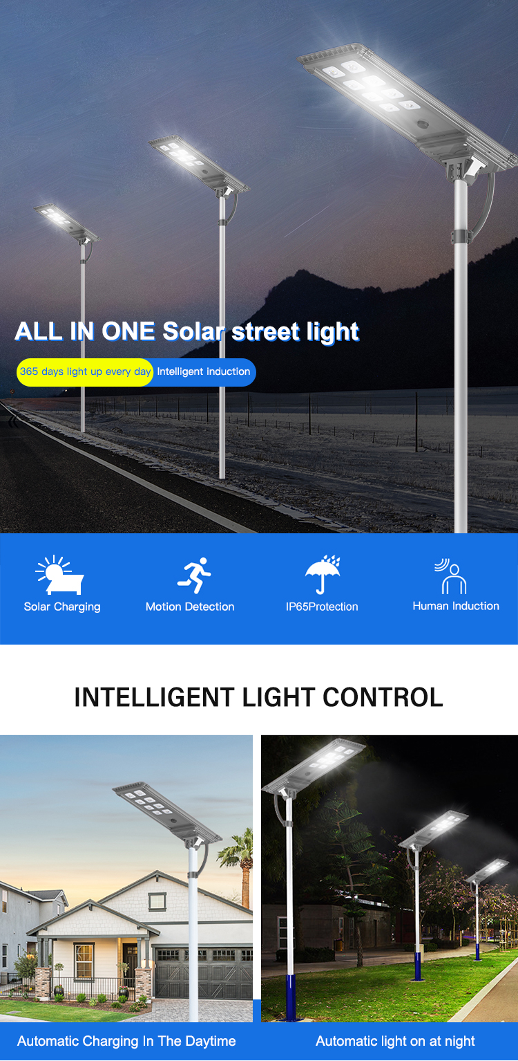 Solar Street Light Front view