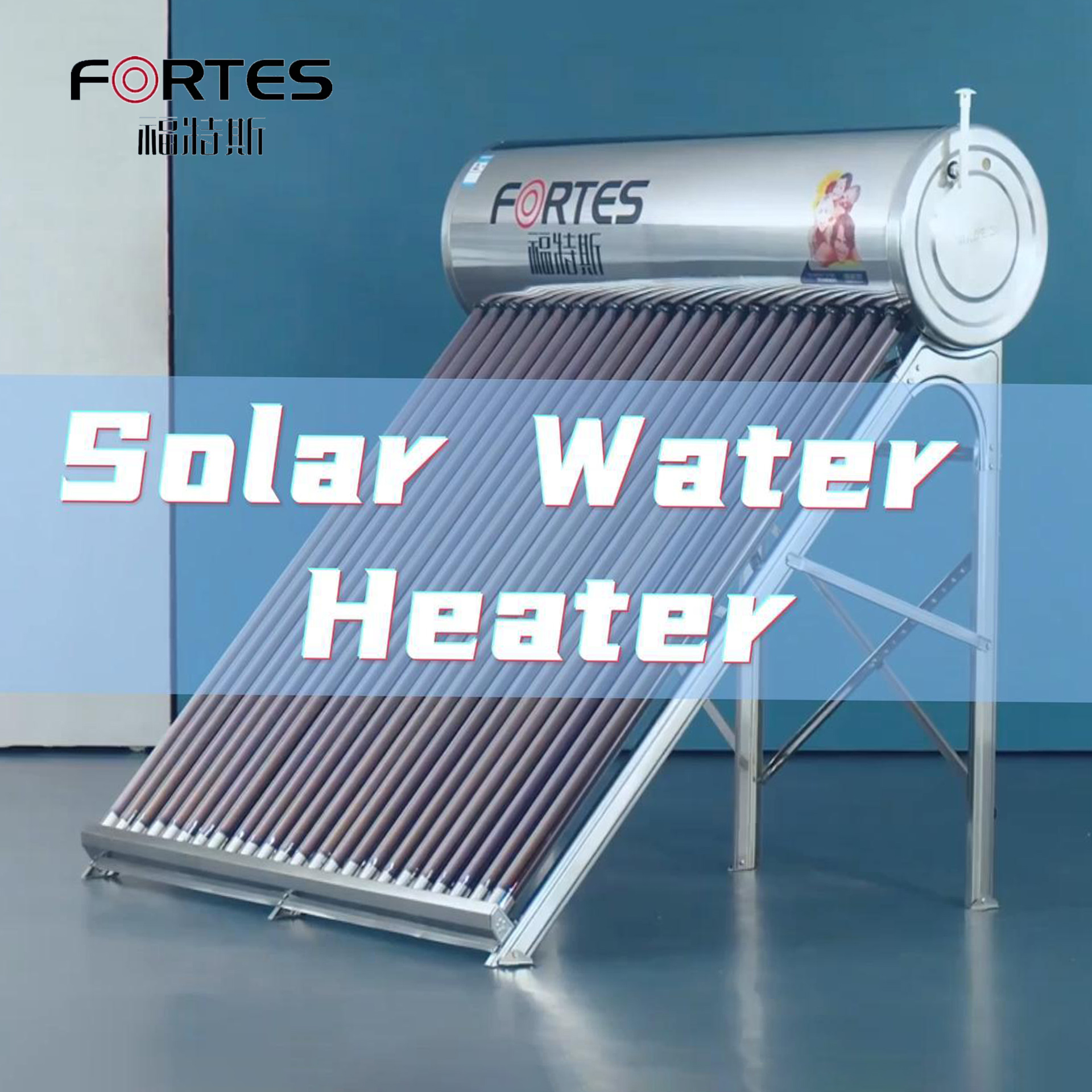 Fortes 100L - 300L Low Pressurized Calentador De Agua Solar Geyser / Solar Water Heater System for Home Household
