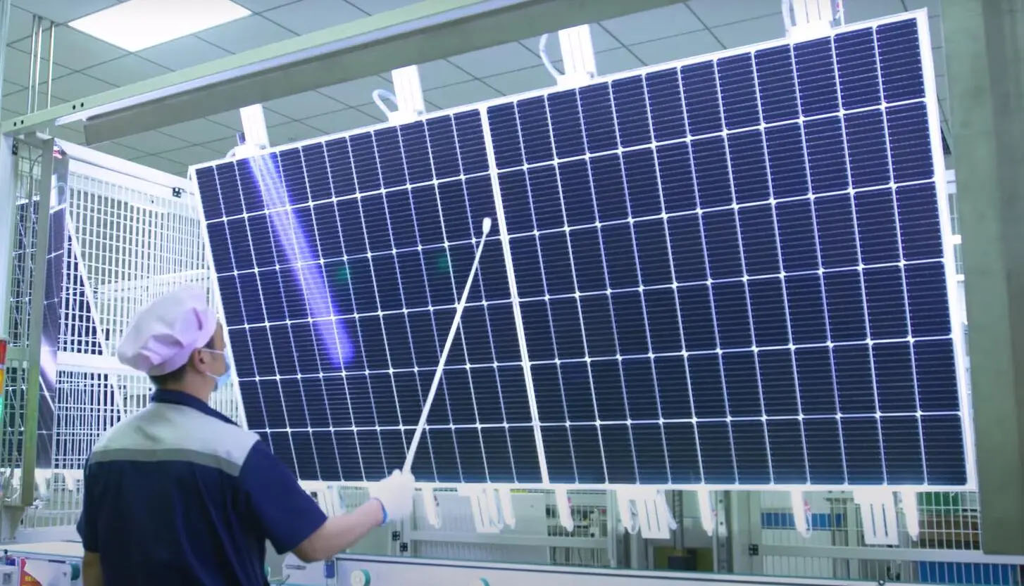 100% module Inspection
