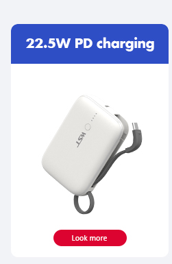 Portable Power Station Grid 1