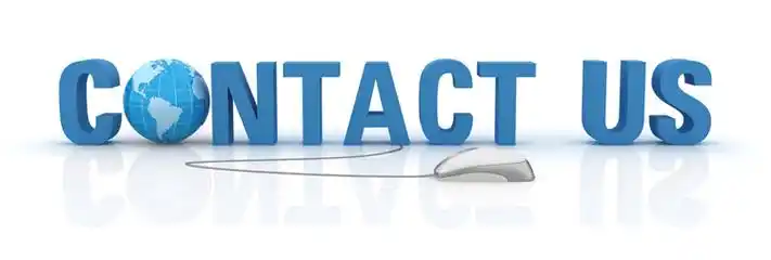 Customer Review 2