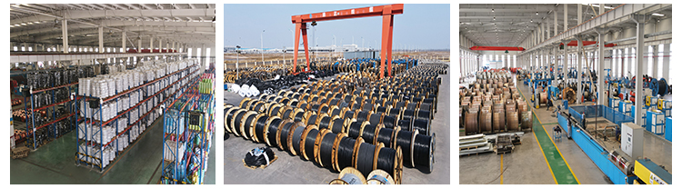 Shipping Logistics Preparation