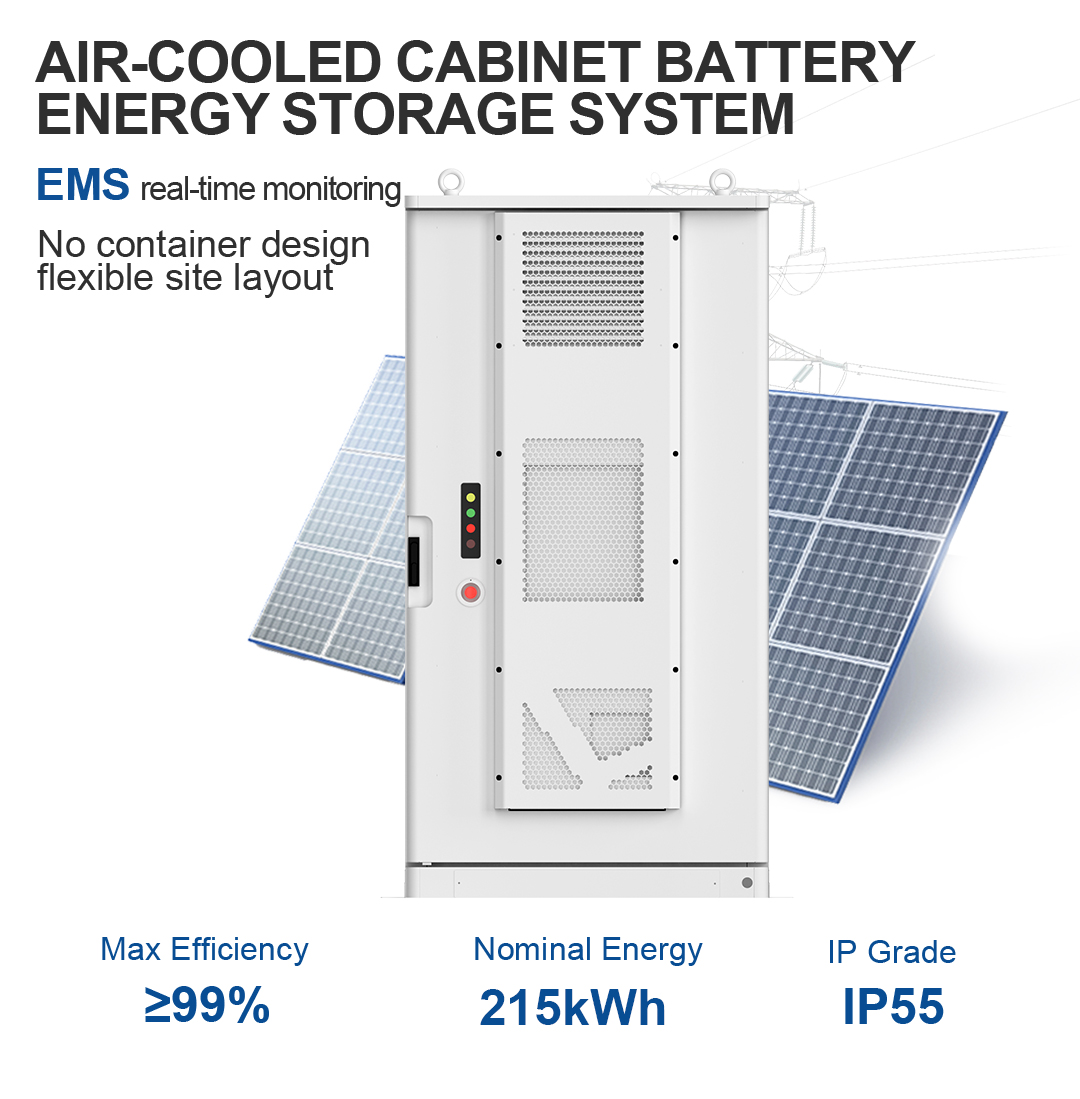 Cabinet Internal Details
