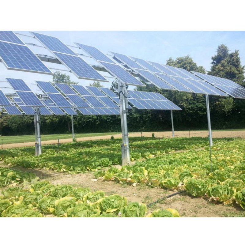Economical Farm Solar Mounting System for Enhanced Agricultural Profitability