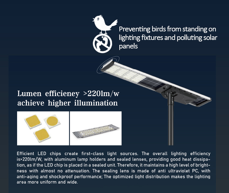 Description Image 6