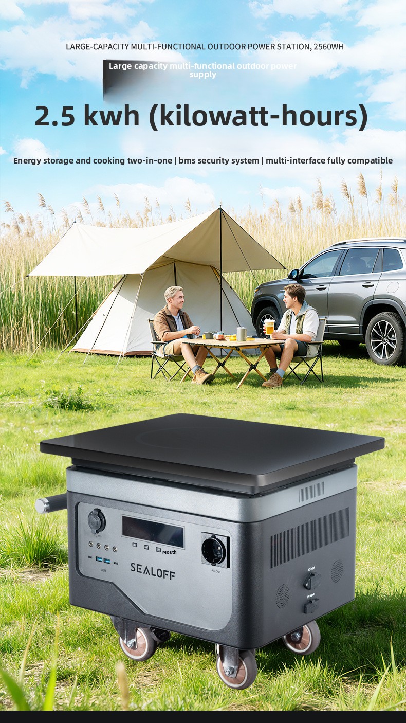 Portable Outdoor Power Station 220V/2560Wh 2000W LiFePO4 Battery Solar Generator Safety Features for Camping Emergency Backup