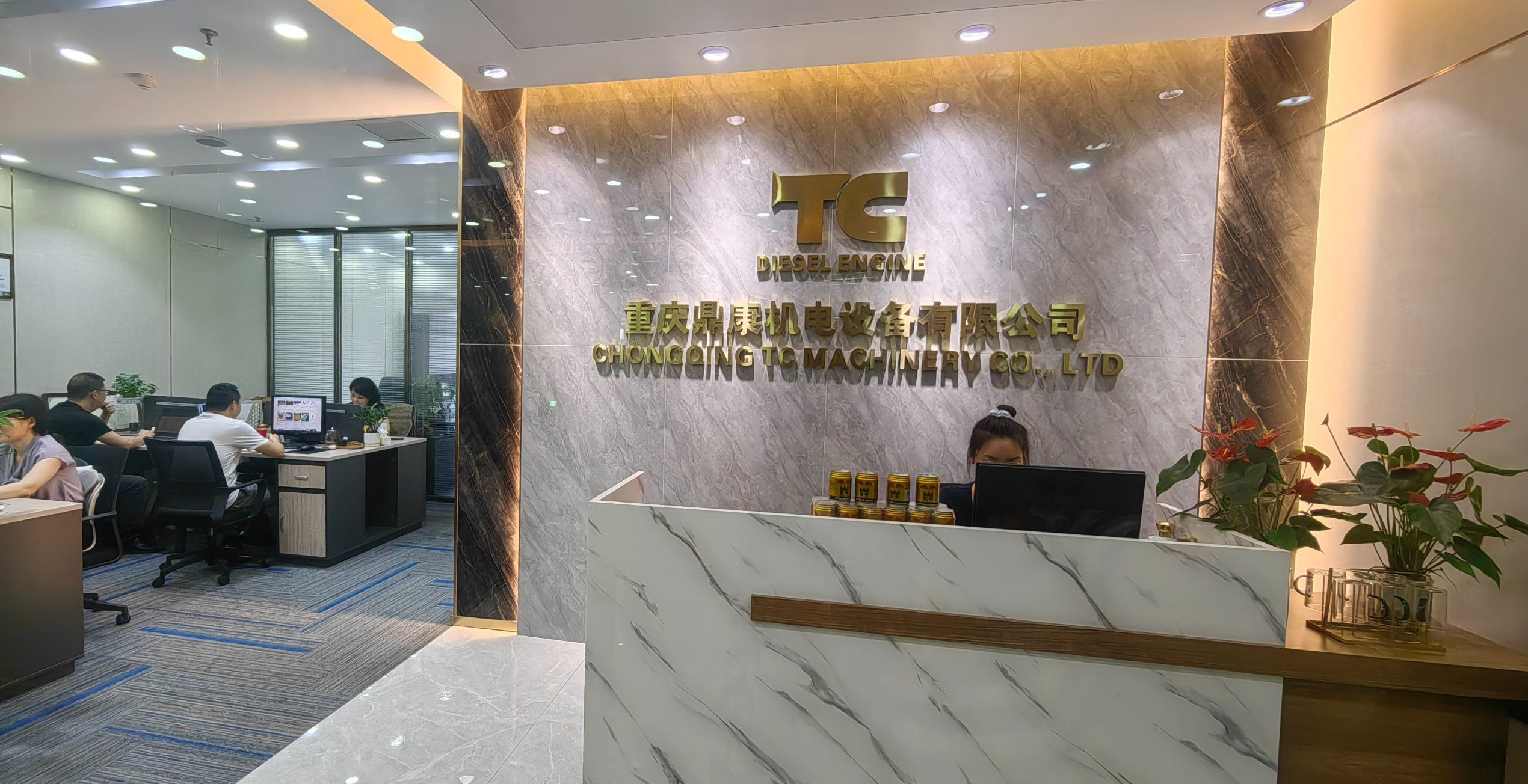 Company overview