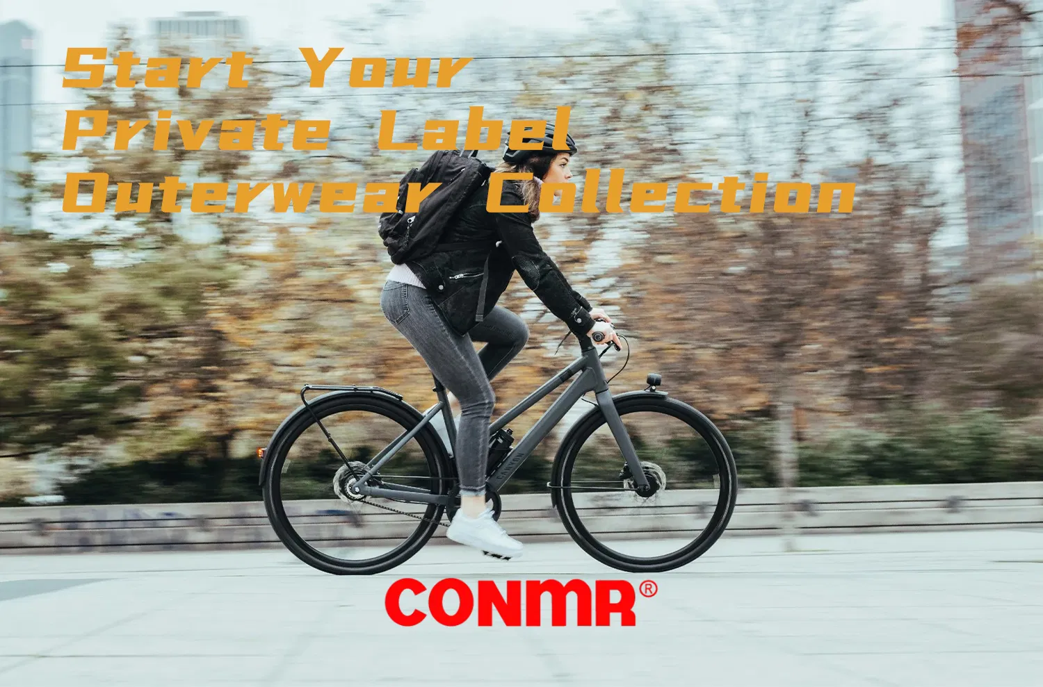 Product Summary Banner