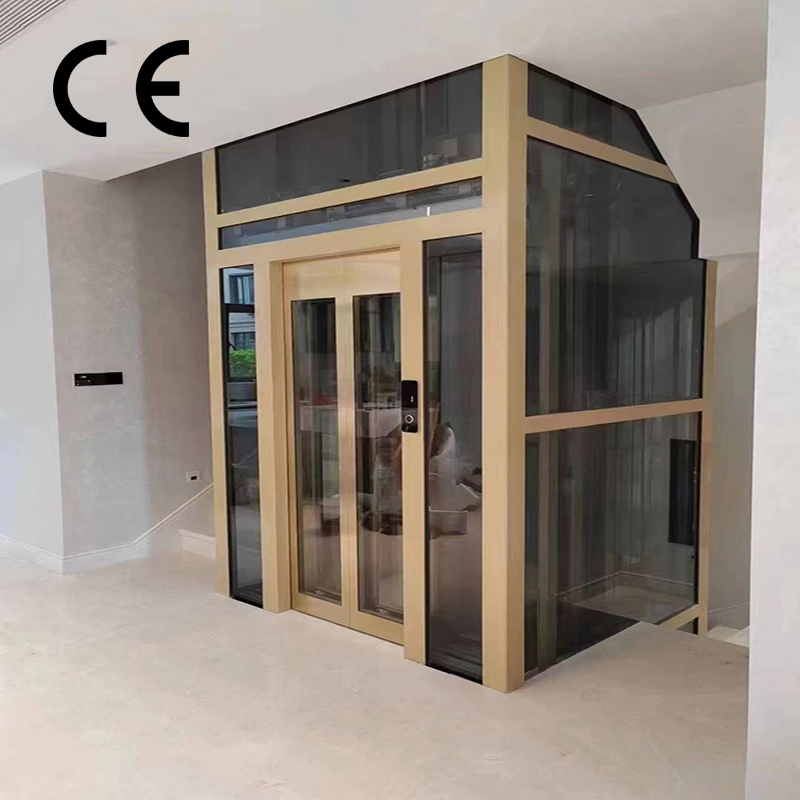 Indoor Small Home Elevators with Good Quality and Modern Features for Villa