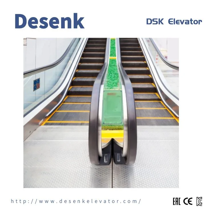 FUJI Passenger Escalator Outdoor Escalator with Good Quality Competitive Escalator Price