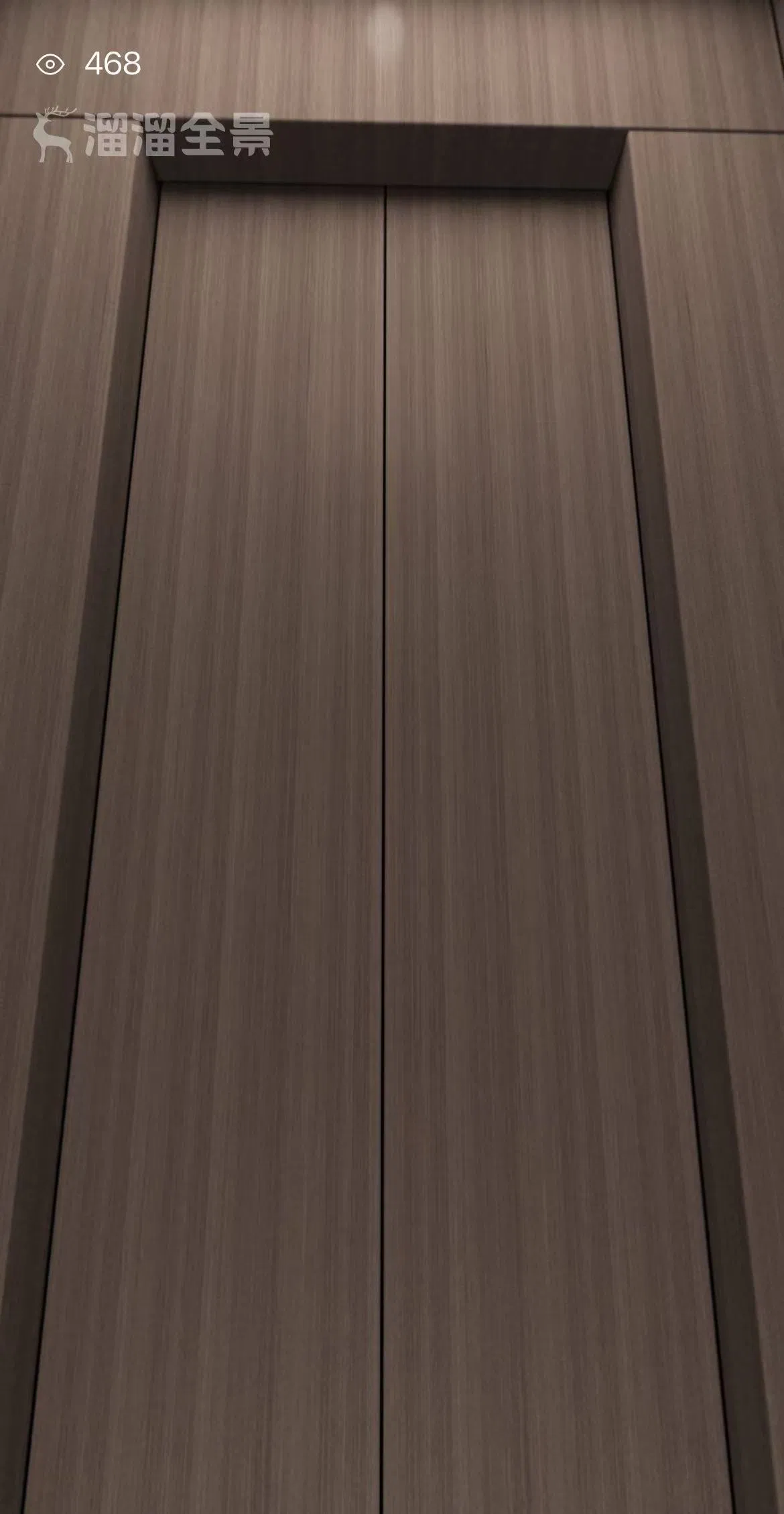 Asia FUJI CE Certified Elevator Stainless Steel Passenger Elevator