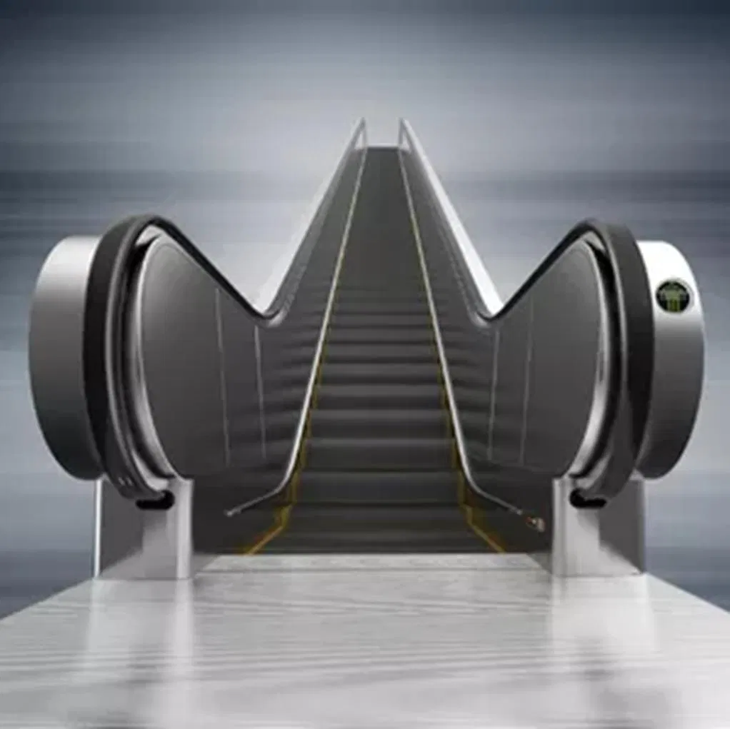 FUJI Vvvf Drive Shopping Carts Escalators Elevator Escalator for Airport