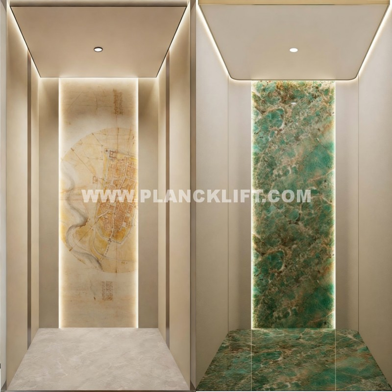 Luxurious Home Elevator Lift for Modern Villa and Office Use