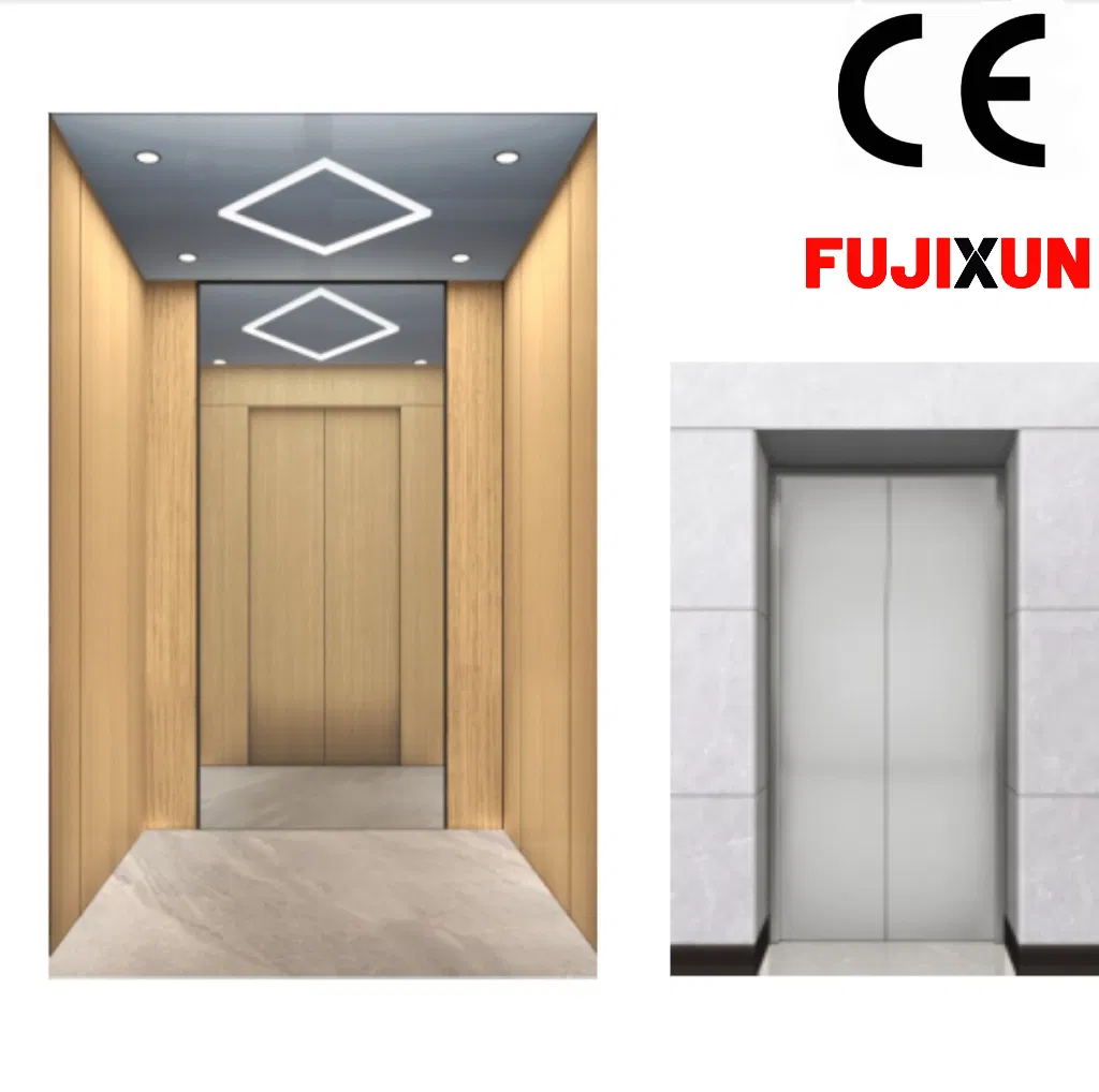 Fujixun 15 Years of Manufacturing Experience Home Lift Passenger Elevators