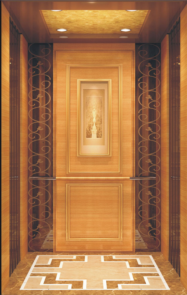 Factory Customizable Passenger Home Lift Elevator Lift Price Round Home Passenger Elevator Stair Lift Without Machine Roomless China Wholesale