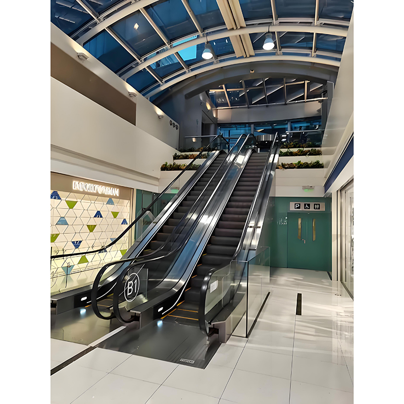 Indoor Use 30°/35° Degree Stainless Steel Escalator with CE Certification Vvvf Moving Walk