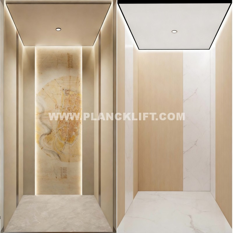 Luxurious Home Elevator Lift for Modern Villa and Office Use