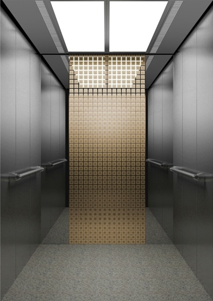 Customized Home Lift Elevator Hospital Lift Passenger Elevator
