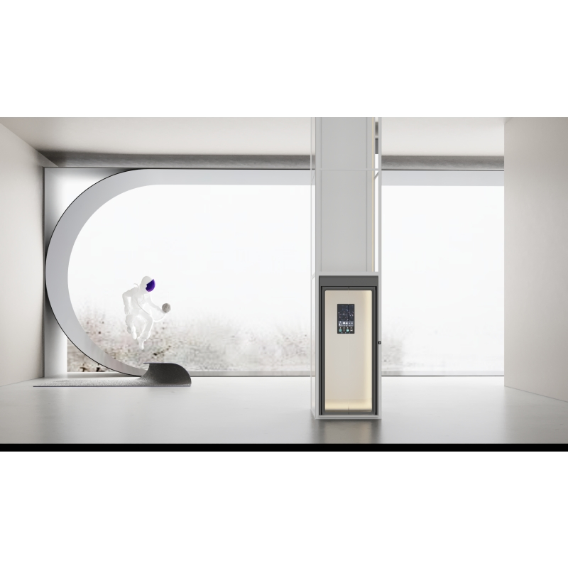 V FUJI Manufacturer Machine Roomless Customized Home Lift Passenger Elevator