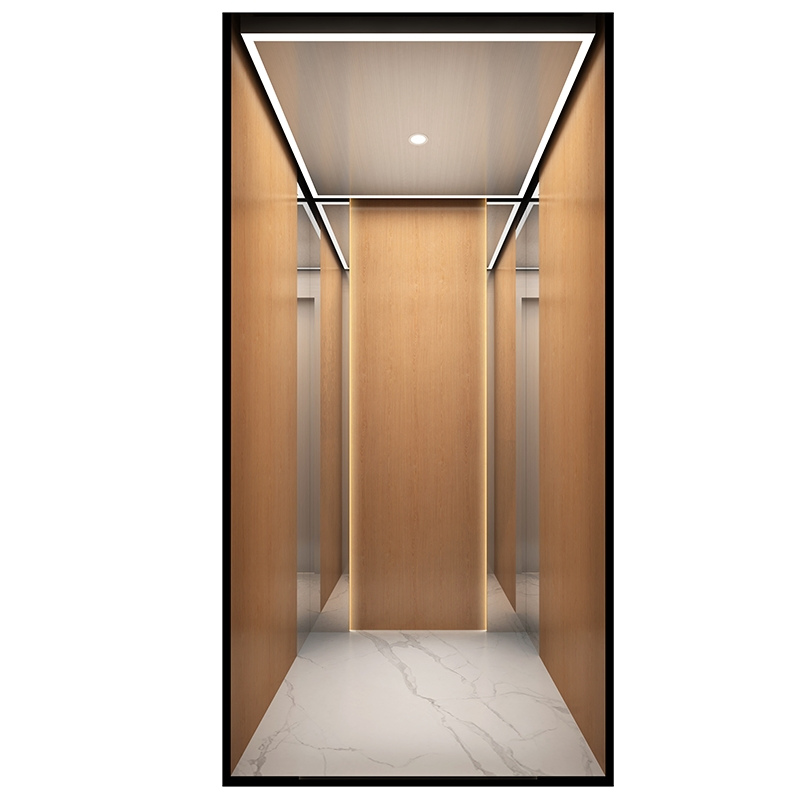 Factory-Direct Intelligent Voice-Controlled Barrier-Free Machine-Room-Less Home Villa Elevators on Promotion Stair Lift