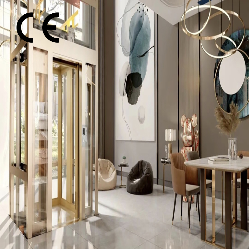 Indoor Small Home Elevators with Good Quality and Modern Features for Villa