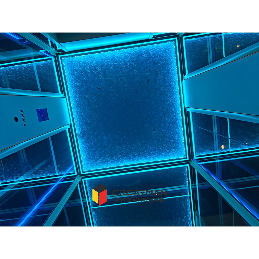 Professional Team's Exclusive Customization Clear View Sightseeing Intelligent Protection Home Villa Elevator Stair Lift