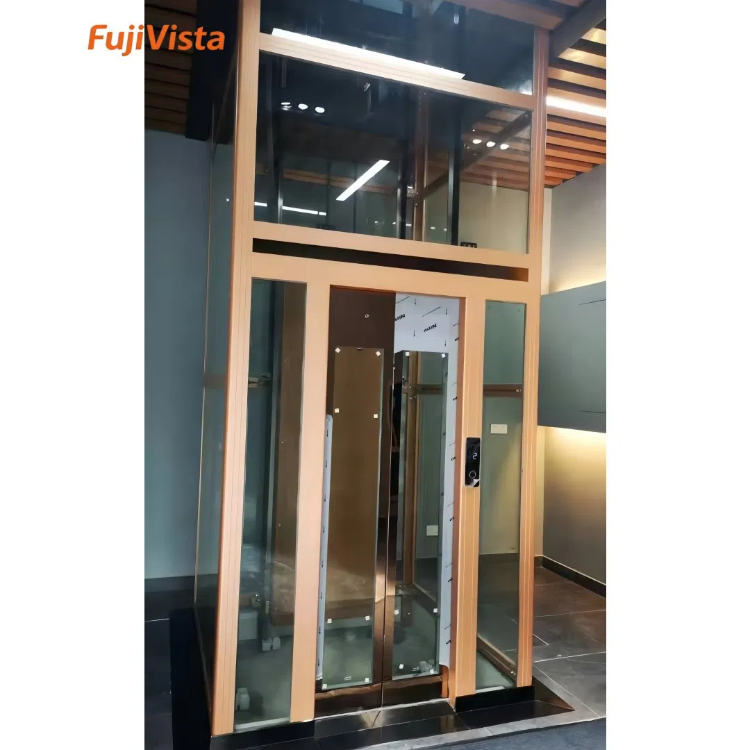 Fujivista Disruptive Stair Lift Passenger Lift Elevator Home Lift Elevator with Featured Mirrored Panel