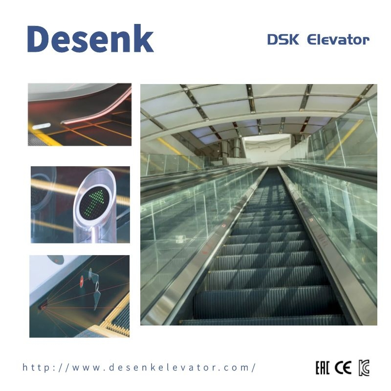 DSK Outdoor Escalator Factory Sidewalk Electric Escalator For Shopping Mall Conveyor