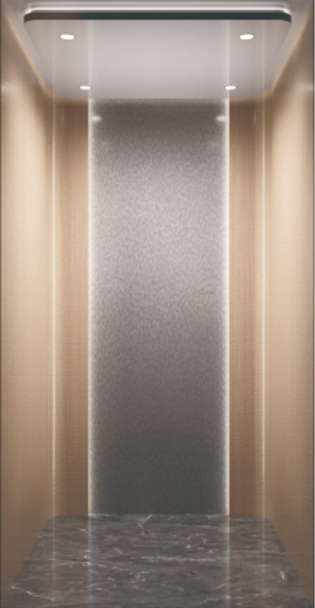 FUJI Home Elevator Hospital Lift Passenger Elevator for Sale No Noisy