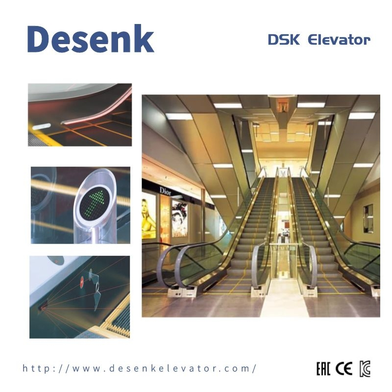 Desenk Safe Home Passenger Indoor Escalator for Shopping Mall Vvvf Electric Escalator Price