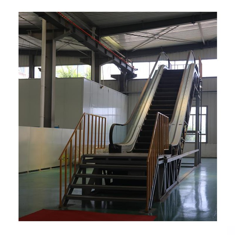 New Design Electrical High Speed Sidewalk Moving Walks Ecalatoer