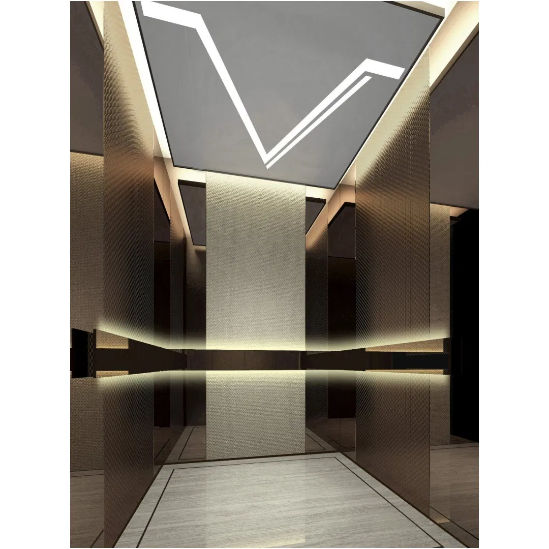 Chinese Custom Design Luxury FUJI Passenger Home Lift Price Residential House Elevator