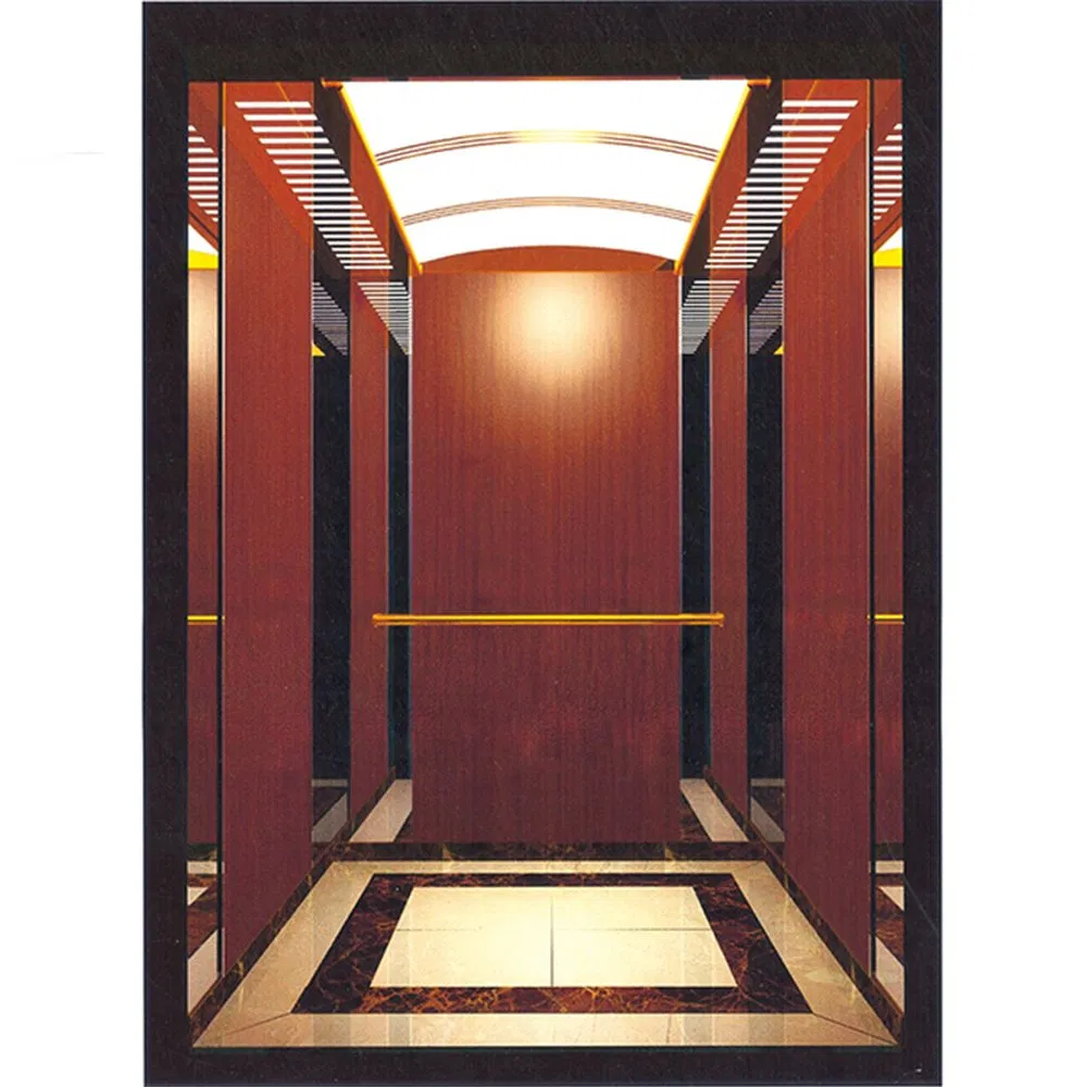 Vvvf Machine Room Home Passenger Residential Elevator