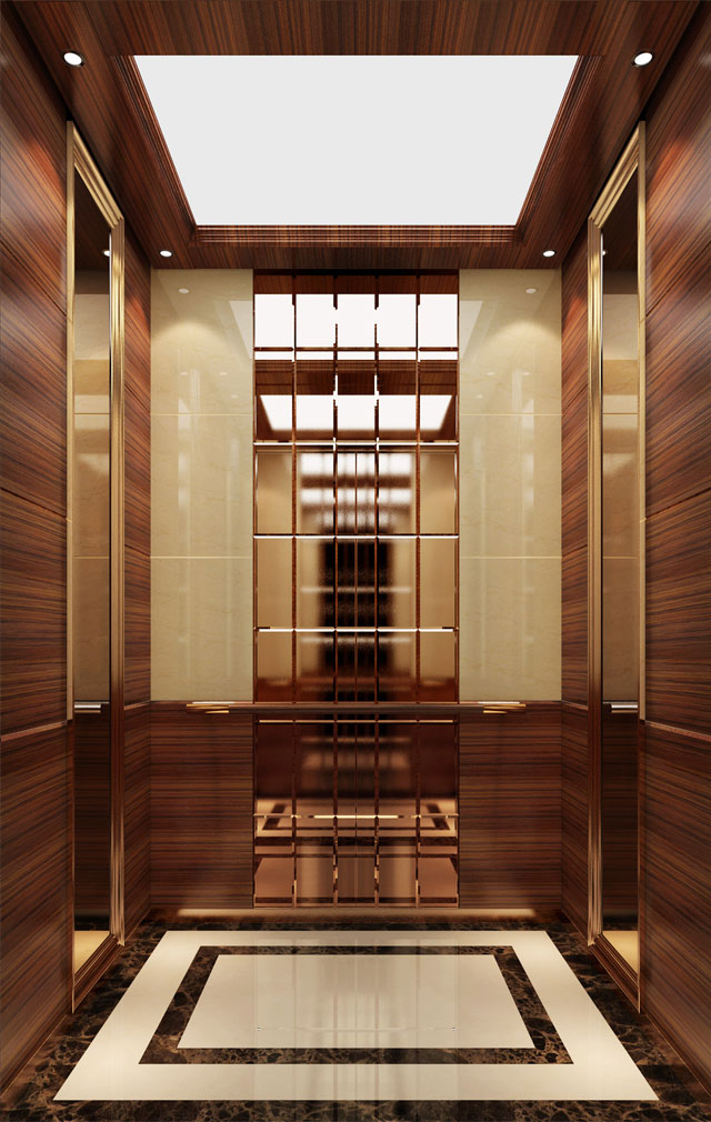 Factory Customizable Passenger Home Lift Elevator Lift Price Round Home Passenger Elevator Stair Lift Without Machine Roomless China Wholesale