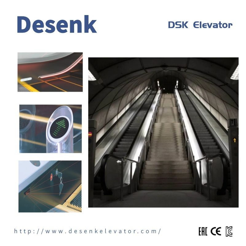 Desenk Safe Home Passenger Indoor Escalator for Shopping Mall Vvvf Electric Escalator Price