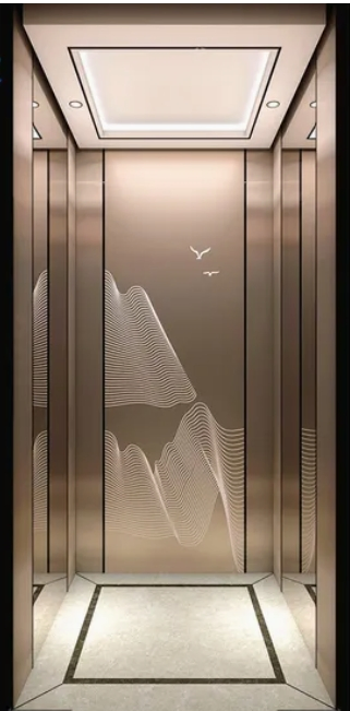 Asia FUJI CE Certified Elevator Stainless Steel Passenger Elevator