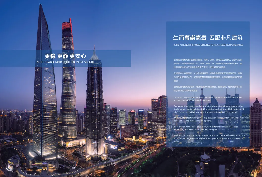 Elevator Stainless Steel Passenger Elevator