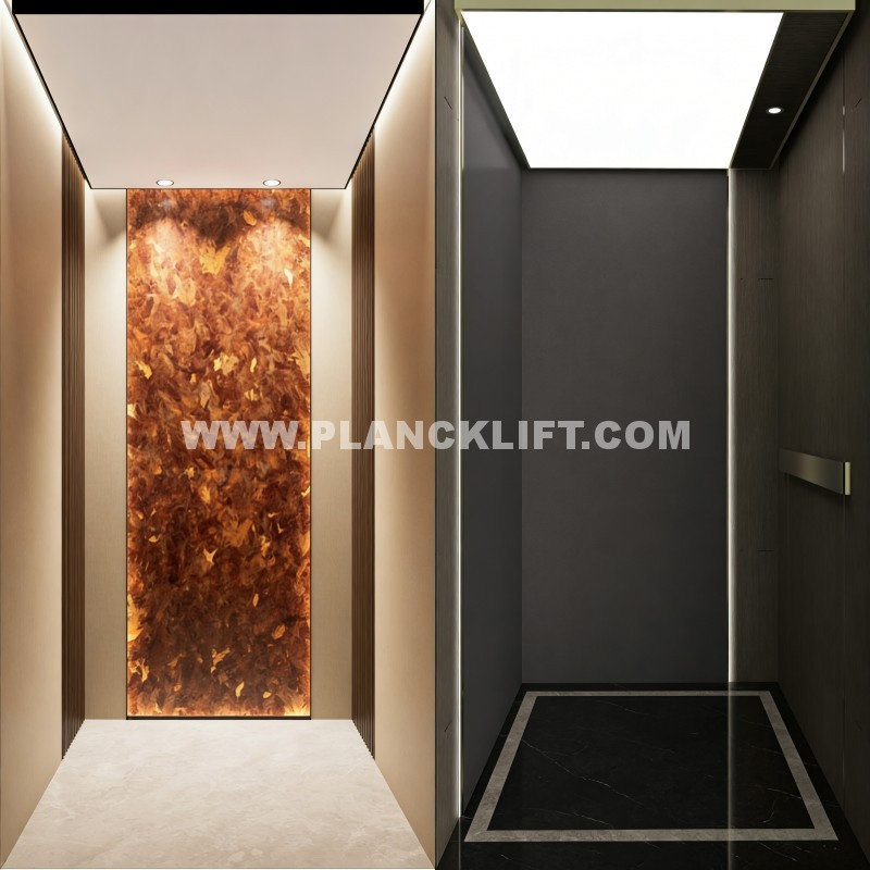 Luxurious Home Elevator Lift for Modern Villa and Office Use