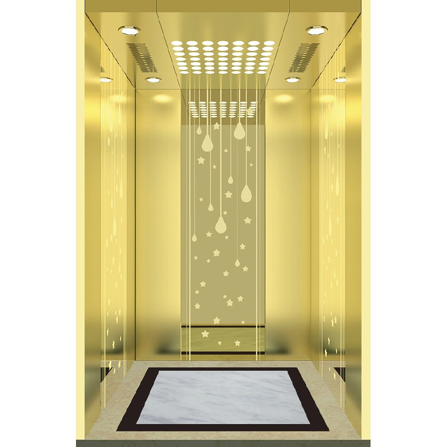 China-Manufactured Passenger Elevators for Luxury Hotels Hospitals Office Buildings &amp; Residential Homes