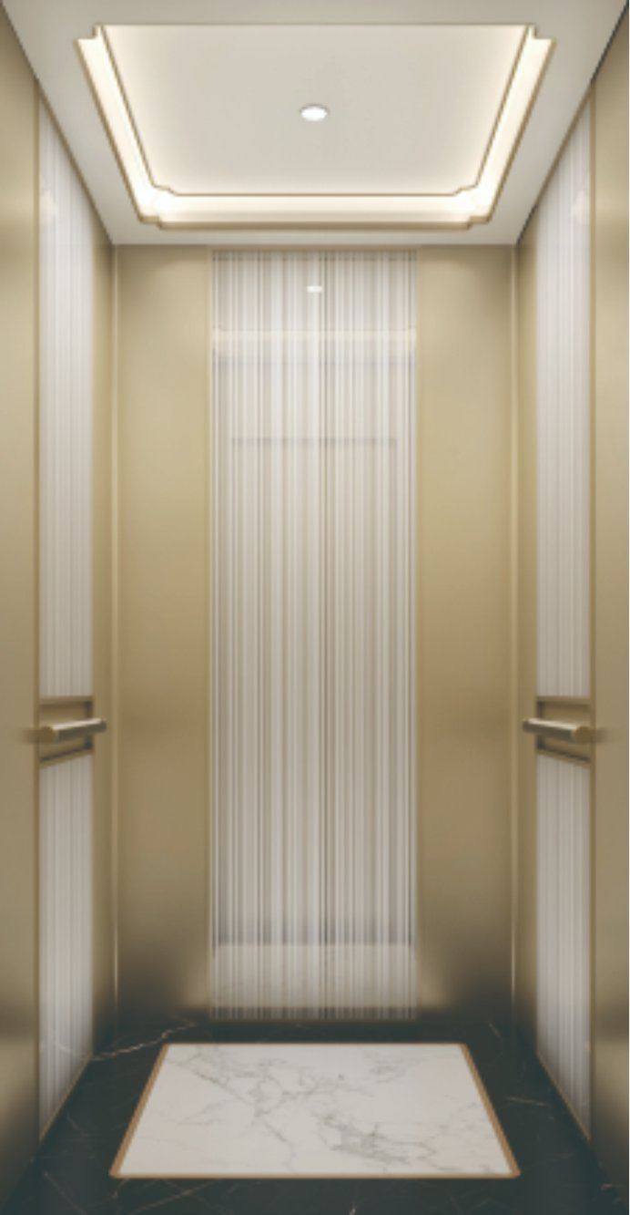 FUJI Home Elevator Hospital Lift Passenger Elevator for Sale No Noisy