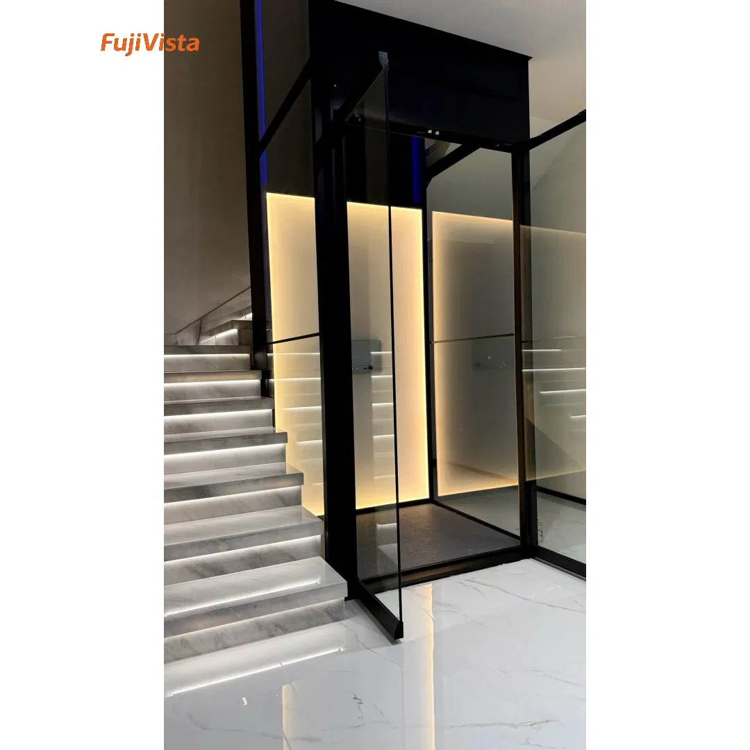 Fujivista Domestic Lifts Mrl Home Elevator Small Glass Villa Lift with Panoramic Observation Design and LED Lighting